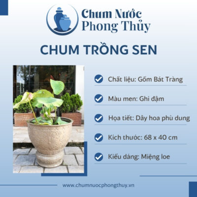 đặc điểm Chậu Trồng Sen Gốm Sứ Men Màu Ghi Đậm Họa Tiết Hoa Văn CS-04