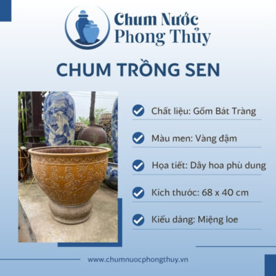 đặc điểm Chum Trồng Sen Gốm Sứ Hoa Văn Cổ Men Vàng Đậm CS-02