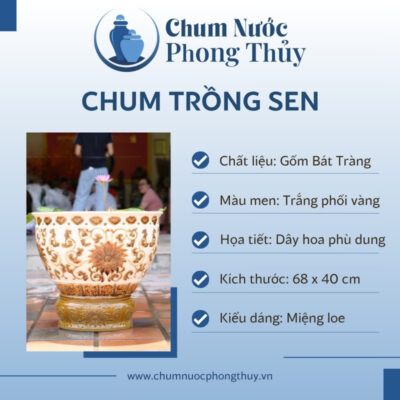 đặc điểm Chum Trồng Sen Miệng Loe Men Trắng Khắc Nổi Hoa Văn Vàng Đồng CS-03