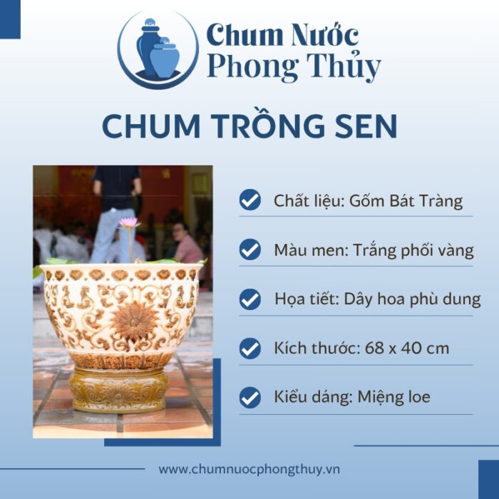 đặc điểm Chum Trồng Sen Miệng Loe Men Trắng Khắc Nổi Hoa Văn Vàng Đồng CS-03