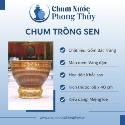 đặc điểm Chum Sứ Trồng Sen Men Vàng Đậm Khắc Sao Nổi CS-07
