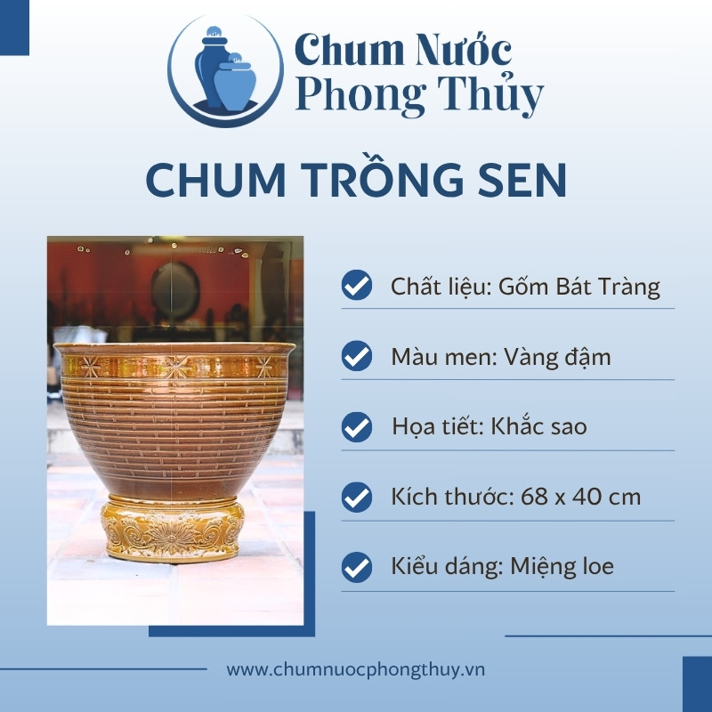 đặc điểm Chum Sứ Trồng Sen Men Vàng Đậm Khắc Sao Nổi CS-07