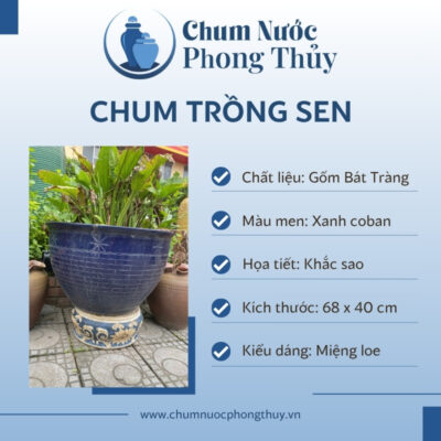 đặc điểm Chậu Trồng Sen Gốm Sứ Men Xanh Coban Khắc Sao CS-06