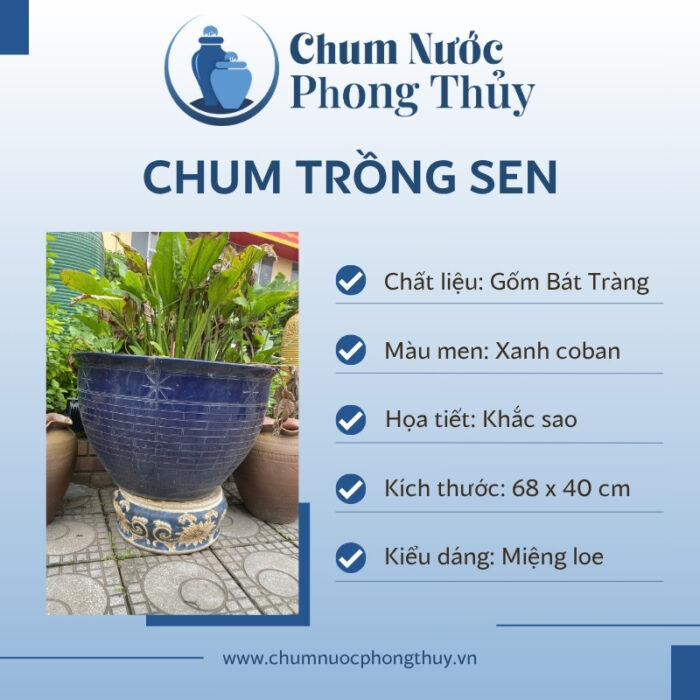 đặc điểm Chậu Trồng Sen Gốm Sứ Men Xanh Coban Khắc Sao CS-06