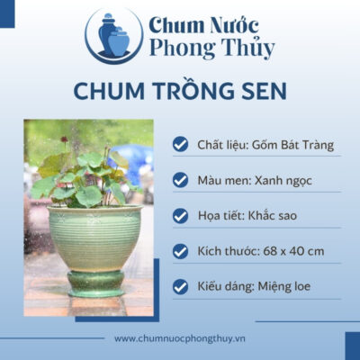 đặc điểm Chum Trồng Sen, Súng Miệng Loe Men Xanh Ngọc Khắc Sao CS-05