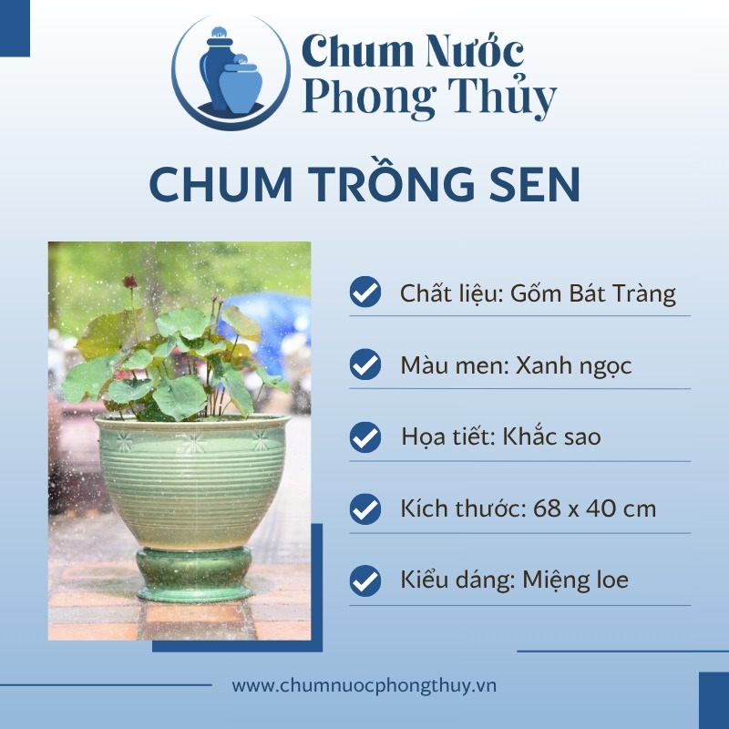 đặc điểm Chum Trồng Sen, Súng Miệng Loe Men Xanh Ngọc Khắc Sao CS-05