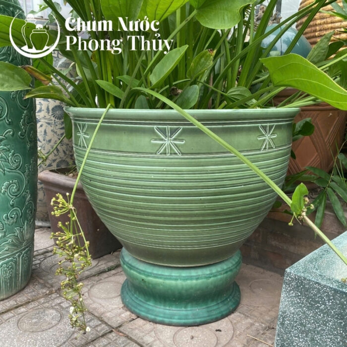 chi tiết Chum Trồng Sen, Súng Miệng Loe Men Xanh Ngọc Khắc Sao CS-05