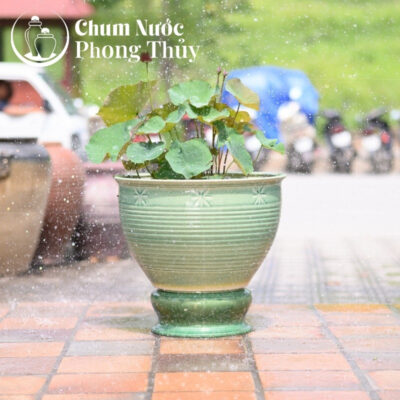 chi tiết Chum Trồng Sen, Súng Miệng Loe Men Xanh Ngọc Khắc Sao CS-05
