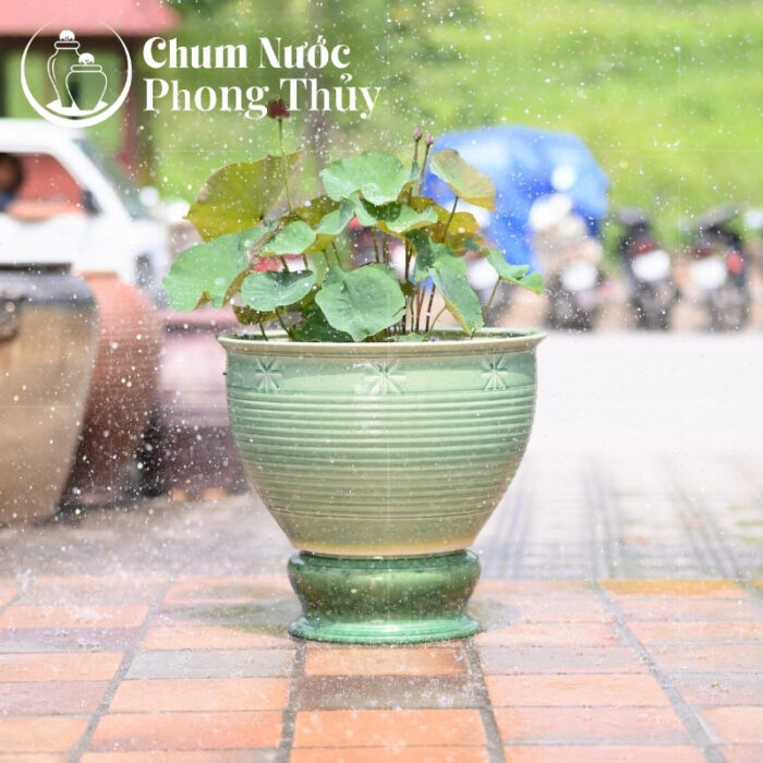 chi tiết Chum Trồng Sen, Súng Miệng Loe Men Xanh Ngọc Khắc Sao CS-05
