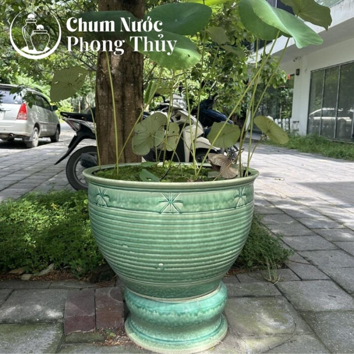 chi tiết Chum Trồng Sen, Súng Miệng Loe Men Xanh Ngọc Khắc Sao CS-05