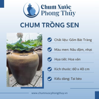 đặc điểm Áng Trồng Sen Tai Bèo Họa Tiết Dây Hoa Phù Dung CS-01