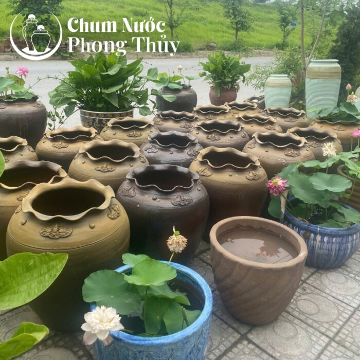 chi tiết Áng Trồng Sen Tai Bèo Họa Tiết Dây Hoa Phù Dung CS-01
