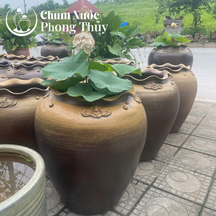 chi tiết Áng Trồng Sen Tai Bèo Họa Tiết Dây Hoa Phù Dung CS-01