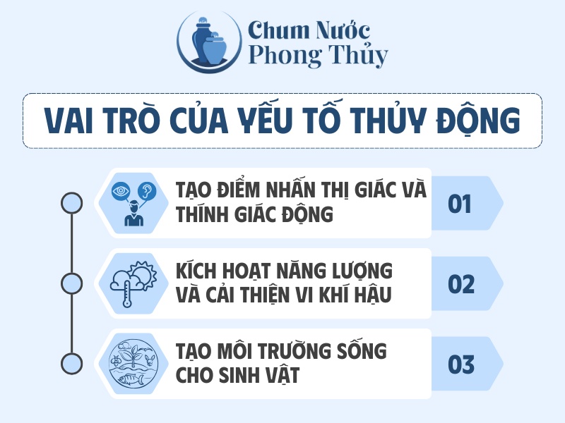 Vai trò của yếu tố thủy động